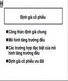 Bài giảng Định giá cổ phiếu (2009) chi tiết, chuẩn nhất