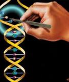 250 câu trắc nghiệm sinh học [mới nhất/hay nhất/tổng hợp]