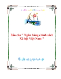 Tiểu luận: Ngân hàng chính sách xã hội Việt Nam