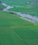 Đề án “Một số vấn đề về qui hoạch sử dụng đất ở đô thị Việt Nam và giải pháp”
