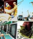 Cơ cấu ngành kinh tế: Phân tích và đánh giá mới nhất