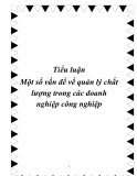 Tiểu luận - Một số vấn đề về quản lý chất lượng trong các doanh nghiệp công nghiệp