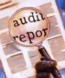 Bài tập Báo cáo Kiểm toán: Hướng dẫn chi tiết và [từ khóa liên quan]