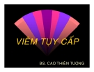 VIÊM TỤY CẤP