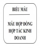 Mẫu hợp đồng hợp tác kinh doanh - Mẫu 1