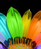 Kiểm định phần mềm: Kinh nghiệm và quy trình chuẩn nhất