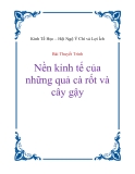 Bài thuyết trình  "Nền kinh tế của những quả cà rốt và cây gậy"