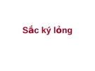 Sắc Ký Lỏng: Phương pháp và Ứng dụng [Hướng Dẫn Chi Tiết]