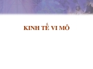 Tổng quan kinh tế vi mô: Định nghĩa, đặc điểm và ứng dụng