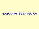 Nuôi cấy  tế bào thực vật