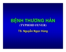 Bệnh thương hàn