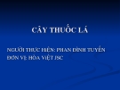 Quy trình trồng và sản xuất thuốc lá: Hướng dẫn chi tiết