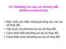 Phương sai sai số thay đổi: Phân tích và cách xử lý