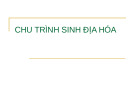 Bài giảng chu trình sinh địa hóa [mới nhất]