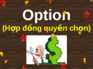 Văn bản hợp đồng quyền chọn [chuẩn nhất]