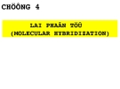 Hybrid molecules: Chương 4