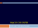 Mạch máu chi dưới: Thông tin chi tiết và các vấn đề thường gặp