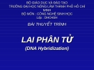 Thuyết trình Lai Phân Tử: Kinh nghiệm và hướng dẫn chi tiết
