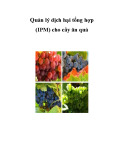 Quản lý dịch hại tổng hợp (IPM) cho cây ăn quả 