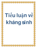 Tiểu luận về  kháng sinh