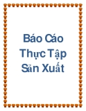 Báo Cáo Thực Tập Sản Xuất [chuẩn nhất]