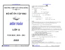 Tổng hợp đề thi học kì 1 môn Toán lớp 11 năm 2010-2011 - Trường THPT Gò Công Đông