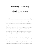 Đề Đốc C. W. Nimitz 