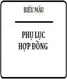 Các mẫu phụ lục hợp đồng thông dụng