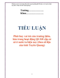 Tiểu luận: Phát huy vai trò trưởng thôn, bản trong hoạt động quản lý xã hội