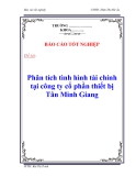 Báo cáo tốt nghiệp: Phân tích tình hình tài chính tại công ty cổ phần thiết bị Tân Minh Giang