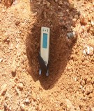 Quan trắc môi trường: Kinh nghiệm và Giải pháp Tối ưu