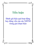 Tiểu luận: Đánh giá hiệu quả hoạt động huy động vốn của các NHTM trong giai đoạn hiện