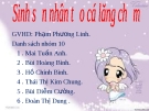 Sinh sản nhân tạo cá lăng chấm: Kinh nghiệm và kỹ thuật hiệu quả
