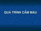 QUÁ TRÌNH CẦM MÁU