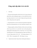 Lồng ruột cấp tính ở trẻ còn bú 