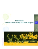 Giáo trình công nghệ sau thu hoạch