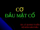 CƠ ĐẦU MẶT CỔ (Giải phẫu học)