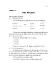 Giáo Trình Hóa Sinh Đại Cương: Chương 10 [Chi Tiết]