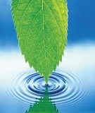 Bài giảng mô hình hóa môi trường chương 8 (Bùi Đức Long) chuẩn nhất