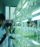 Bài giảng mô hình hóa môi trường chương 9 (Bùi Đức Long)