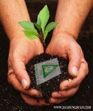 Bài giảng mô hình hóa môi trường chương 7 (Bùi Đức Long): Tóm tắt và ứng dụng