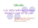 Hợp chất mùi trong phomat làm từ sữa bò: Nghiên cứu và phân tích