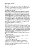 Vật liệu polymer - composite