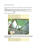 Cách làm lồng đèn kéo quân