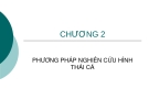 Phương pháp nghiên cứu hình thái cá chương 2: Hướng dẫn chi tiết