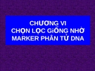 Chọn lọc giống nhờ Marker phân tử DNA: Chương VI