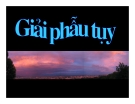 GIẢI PHẪU TỦY