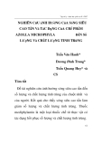Báo cáo y học: "NGHIÊN CứU ảNH HƯởNG CủA SóNG SIÊU CAO TầN Và TáC DụNG CủA CHế PHẩM AZOLLA MICROPHYLA ĐếN Số  LƯợNG Và CHấT LƯợNG TINH TRùNG "