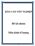 Đề tài kinh tế lượng nhóm: Tổng hợp [mô tả thêm về chủ đề nếu có]