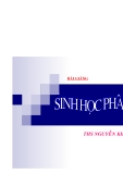 Bài giảng sinh học phân tử ThS Nguyễn Khánh Linh